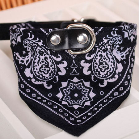 Bandana Collar