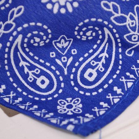 Bandana Collar