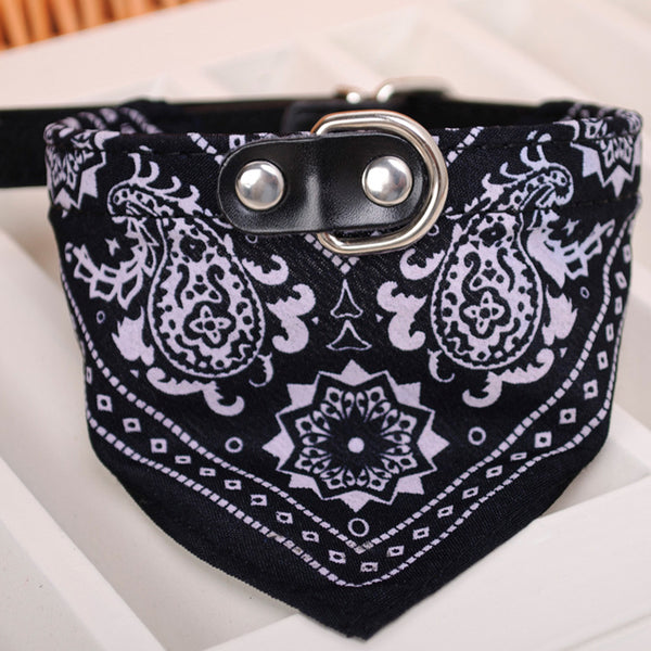 Bandana Collar