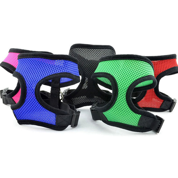 Collar Harness for Small Dogs