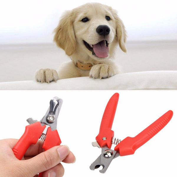 Nail Clippers for  Small Dogs