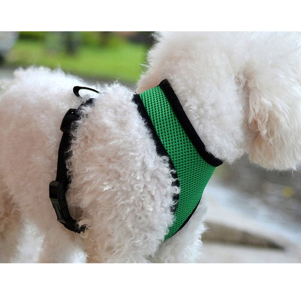 Collar Harness for Small Dogs