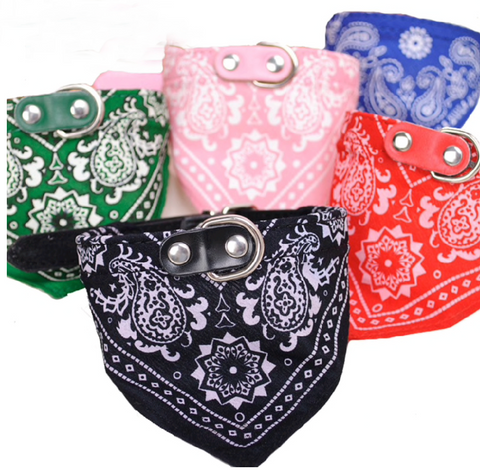 Bandana Collar