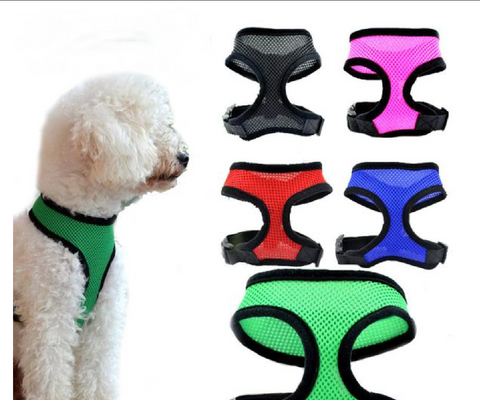 Collar Harness for Small Dogs