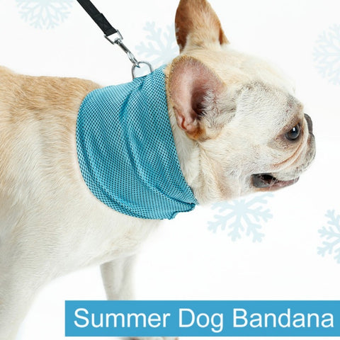 Instant Cooling Dog Collar