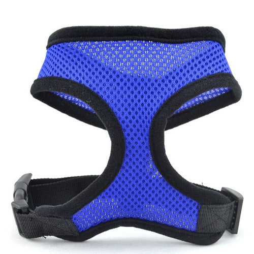 Collar Harness for Small Dogs