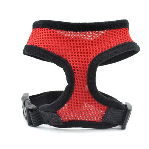 Collar Harness for Small Dogs