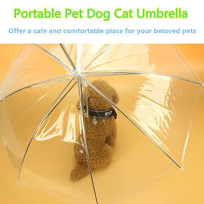 Transparent Pet Umbrella