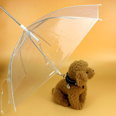 Transparent Pet Umbrella