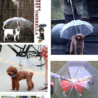 Transparent Pet Umbrella
