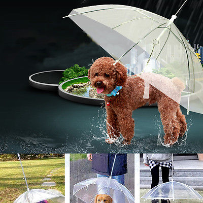 Transparent Pet Umbrella