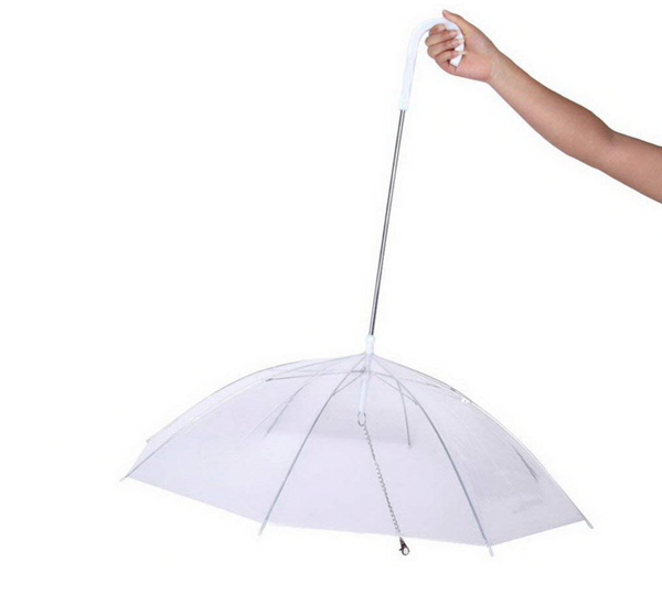 Transparent Pet Umbrella