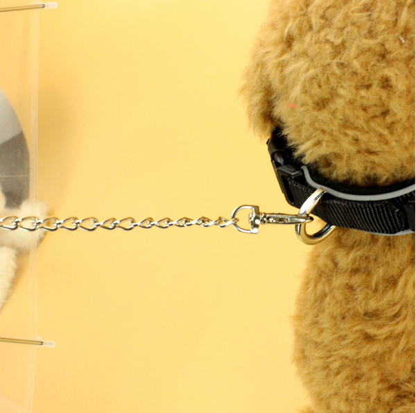 Transparent Pet Umbrella