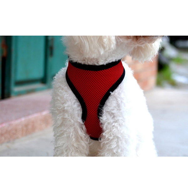 Collar Harness for Small Dogs